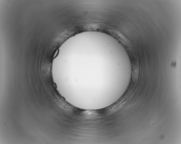 X0000090750477200708101729