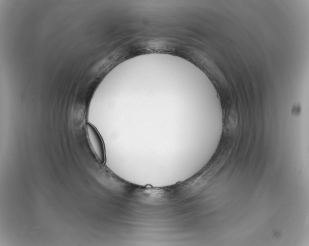 X0000090750478200708101729