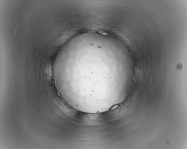 X0000090750479200708101729