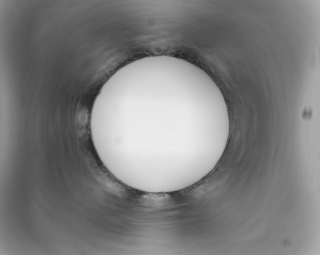 X0000090750480200708101729