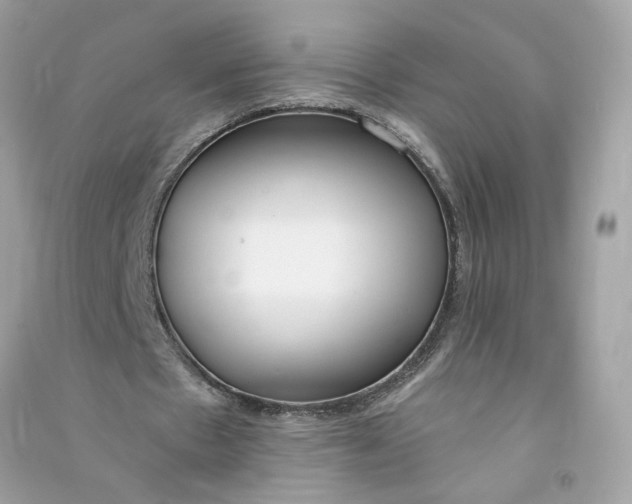 X0000090750481200708101728