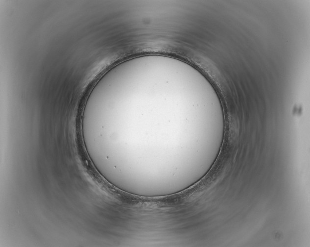 X0000090750482200708101728