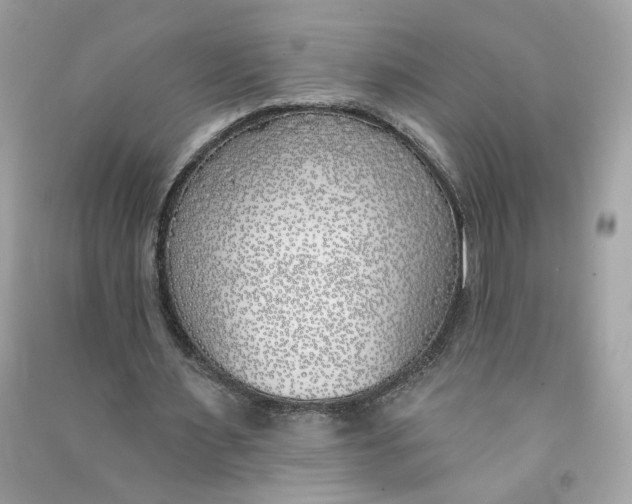 X0000090750483200708101728