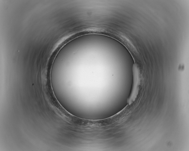 X0000090750484200708101728