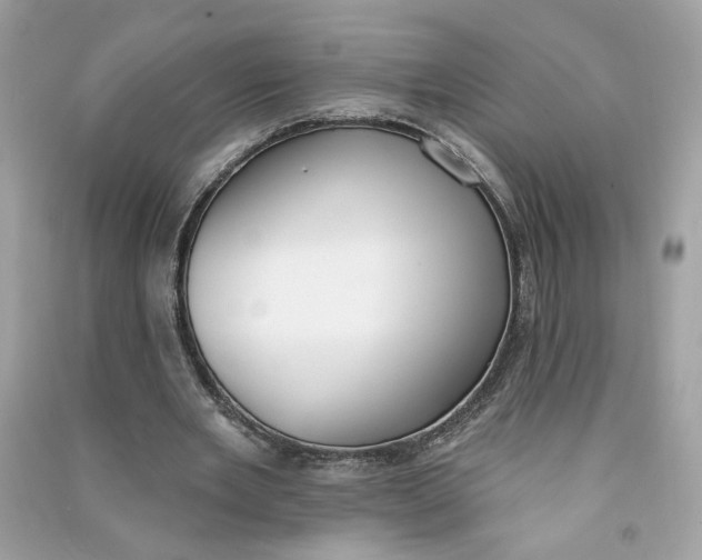 X0000090750485200708101728