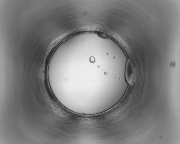 X0000090750486200708101728