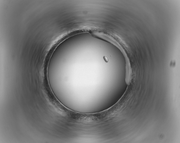 X0000090750488200708101728