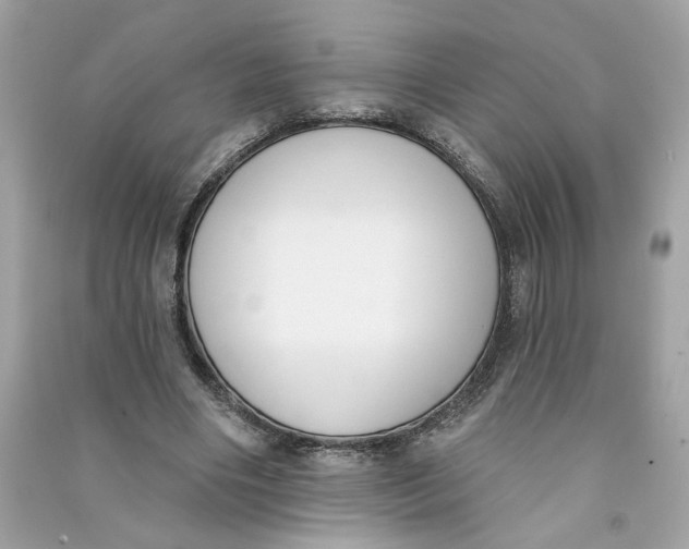 X0000090750490200708101728