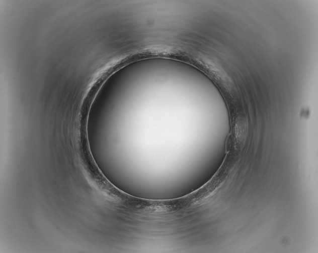 X0000090750492200708101728