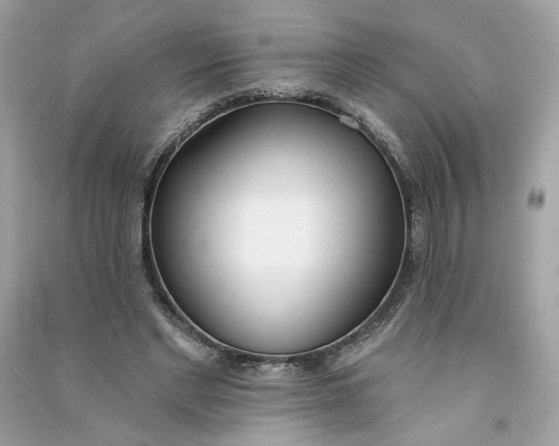 X0000090750493200708101728