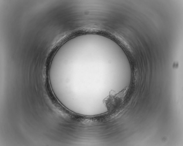 X0000090750494200708101728