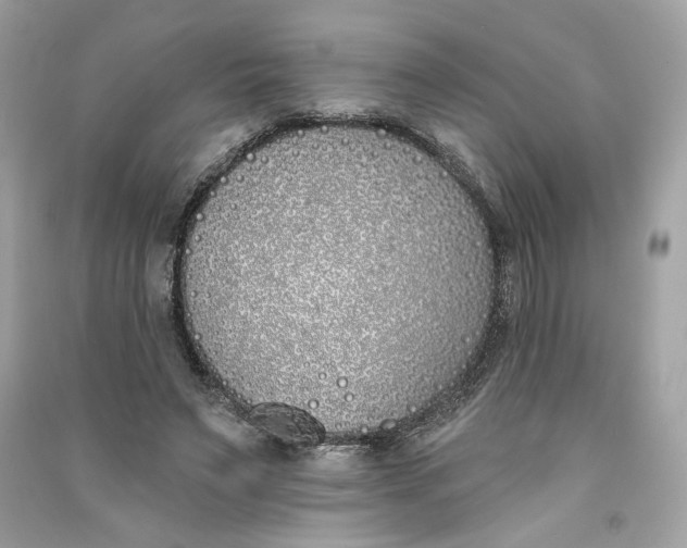 X0000090750495200708101728