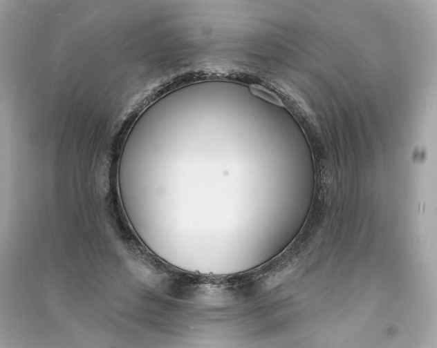 X0000090750496200708101728