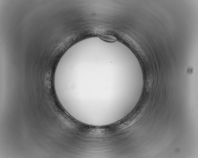 X0000090750497200708101728