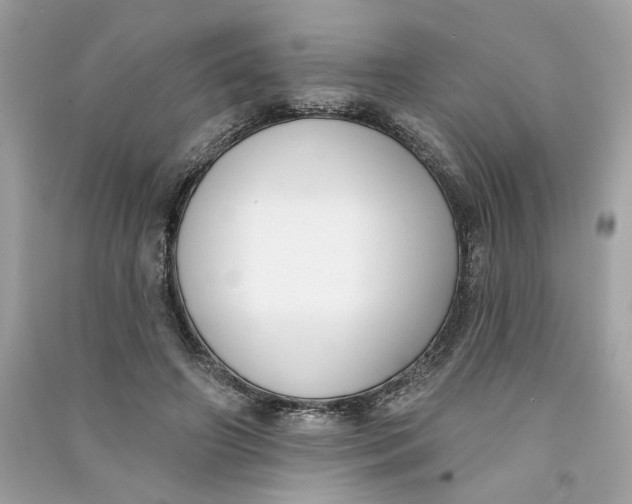 X0000090750498200708101728