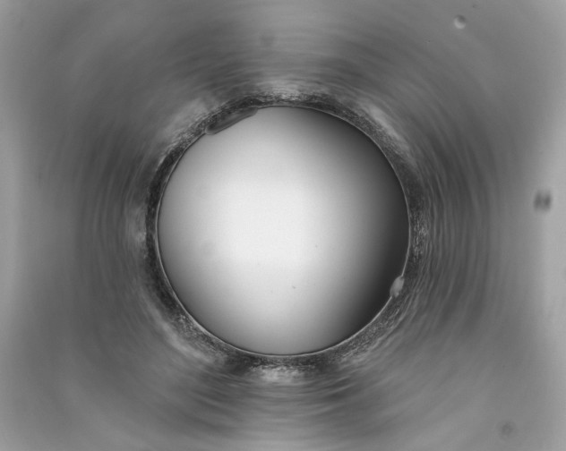 X0000090750500200708101728