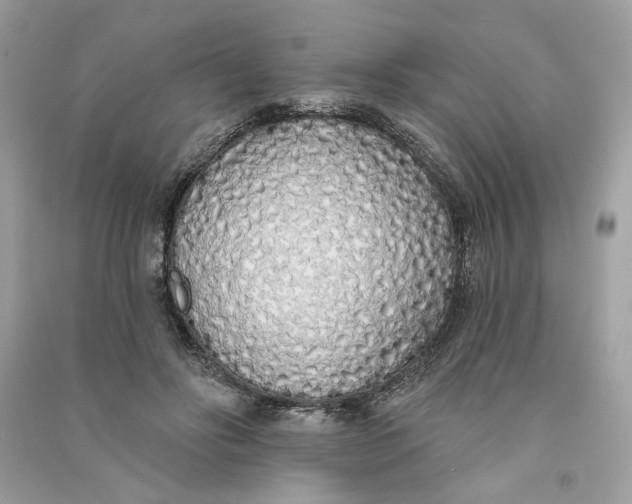 X0000090750502200708101728