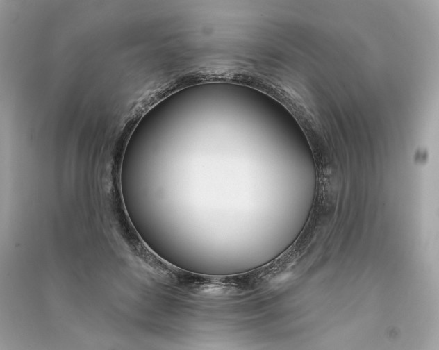 X0000090750504200708101728
