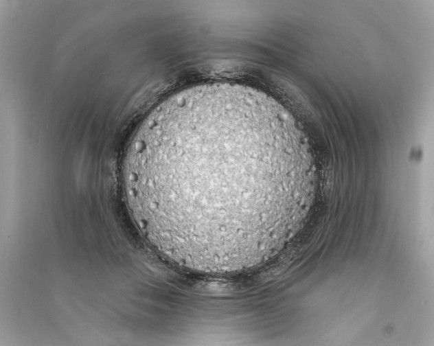 X0000090750506200708101728