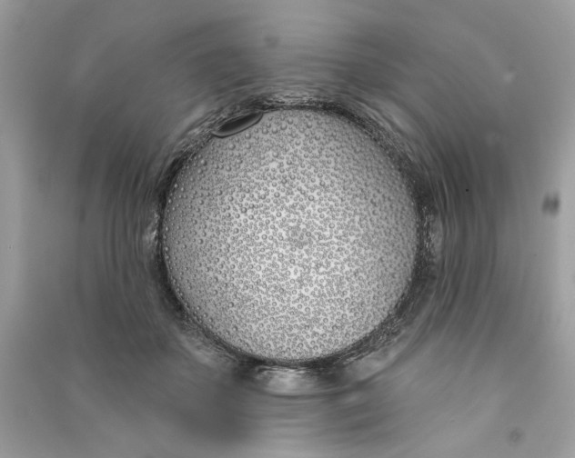 X0000090750507200708101728