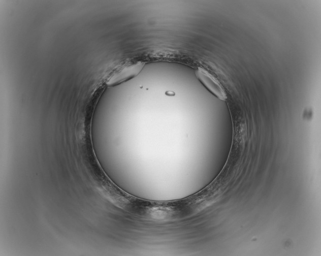 X0000090750508200708101728