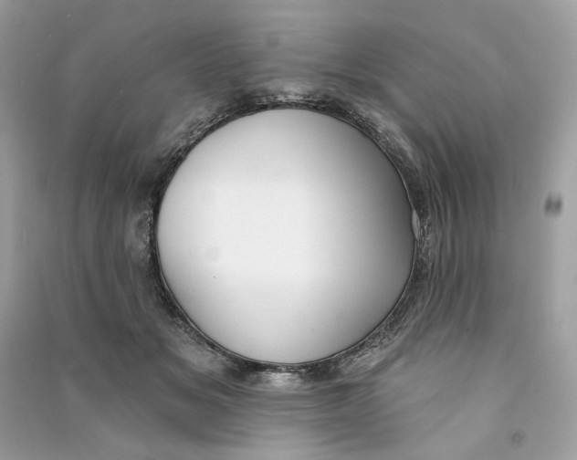 X0000090750509200708101728