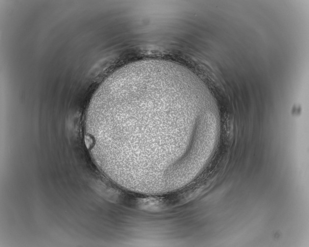 X0000090750511200708101728
