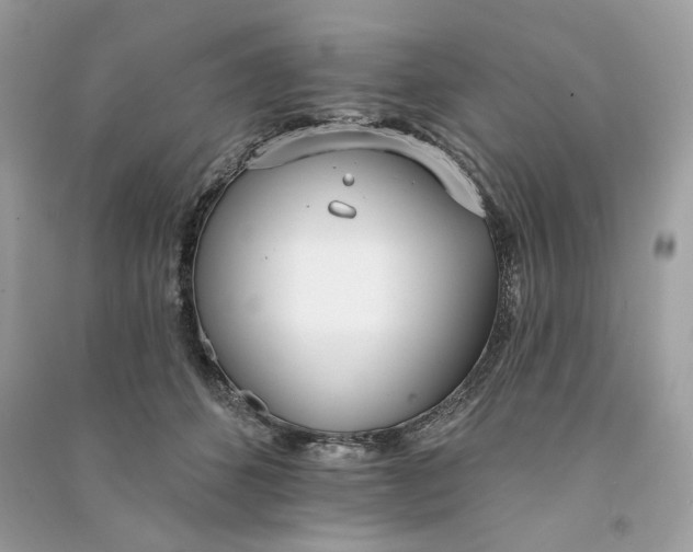 X0000090750512200708101728