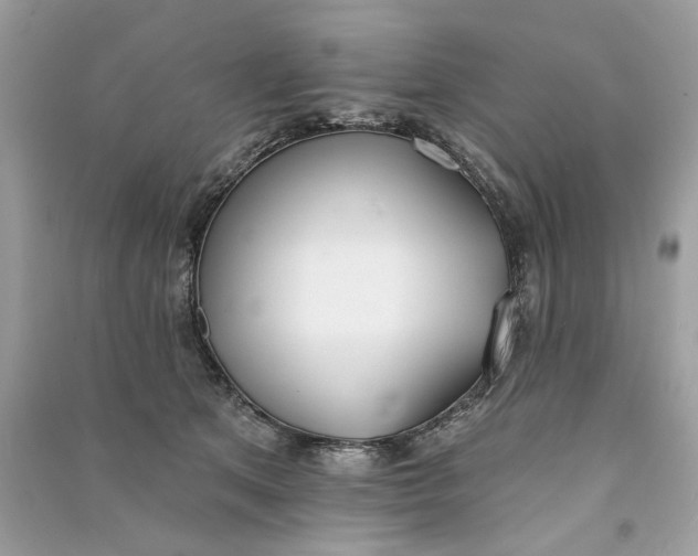 X0000090750513200708101728