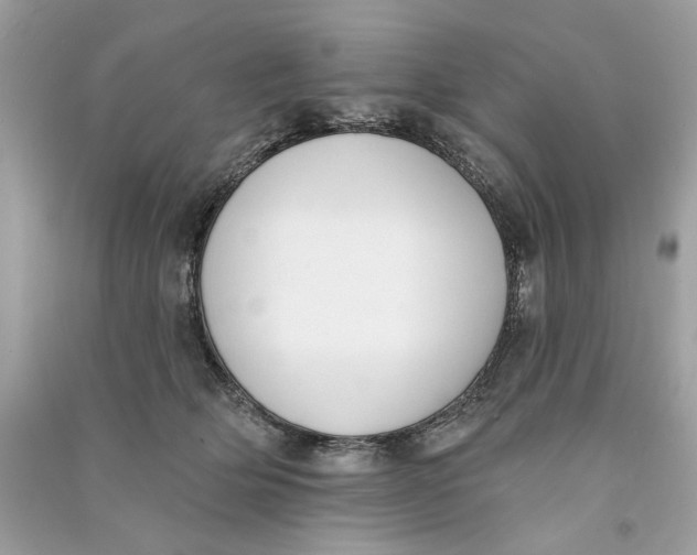 X0000090750514200708101728