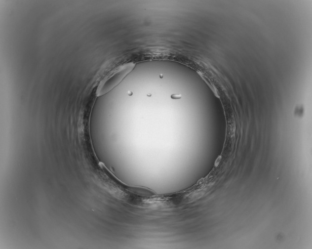 X0000090750516200708101728