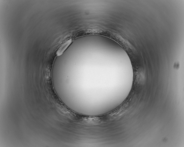 X0000090750517200708101728