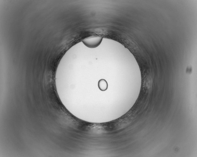 X0000090750518200708101728