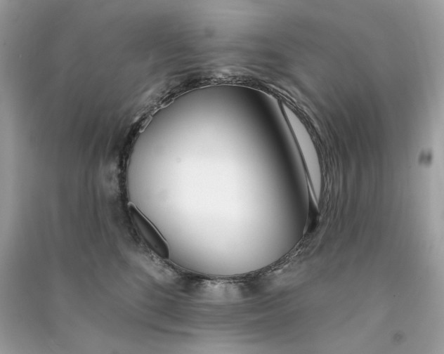 X0000090750520200708101728