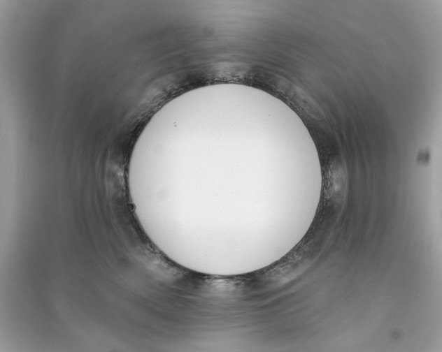 X0000090750522200708101728