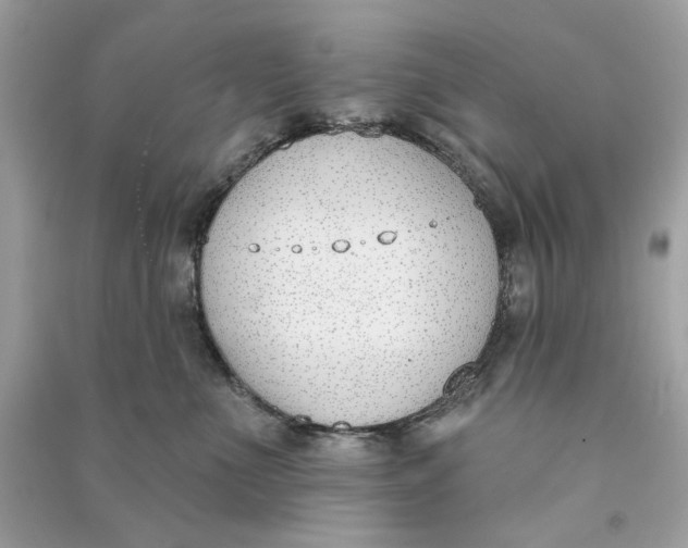 X0000090750523200708101728