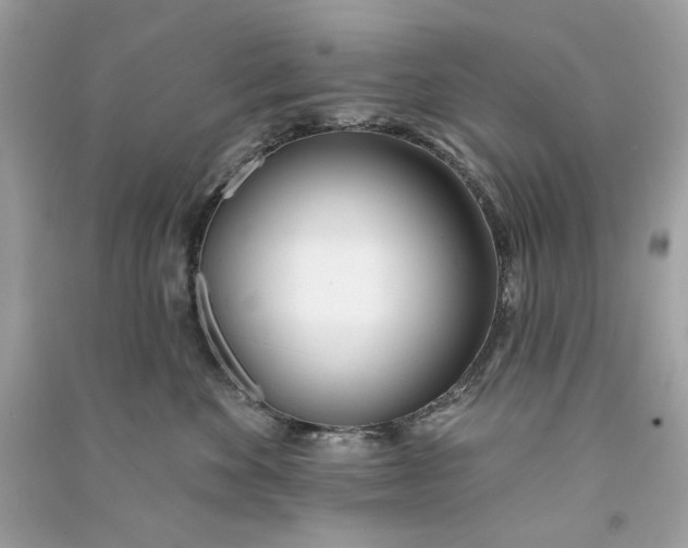 X0000090750524200708101728