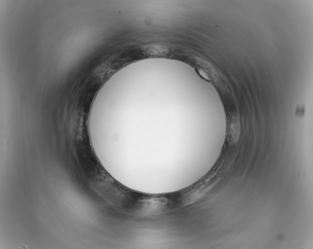 X0000090750525200708101728