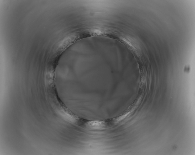X0000090750526200708101728