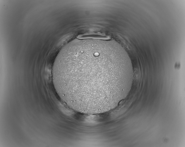 X0000090750527200708101728