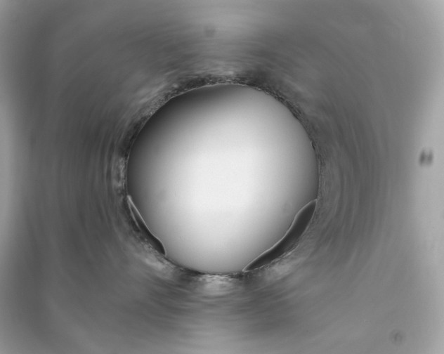 X0000090750528200708101728