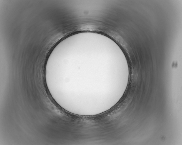 X0000090750529200708101727