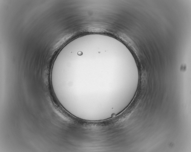 X0000090750533200708101727
