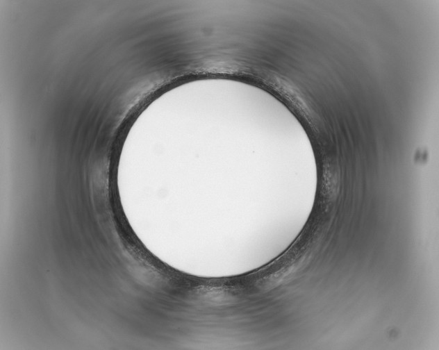 X0000090750534200708101727