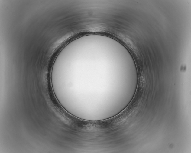 X0000090750535200708101727