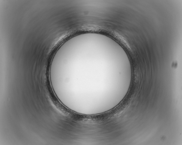 X0000090750538200708101727