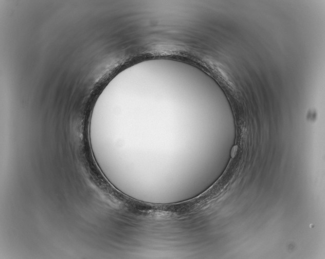 X0000090750539200708101727