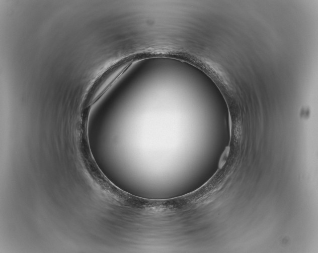 X0000090750540200708101727