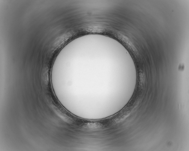 X0000090750541200708101727