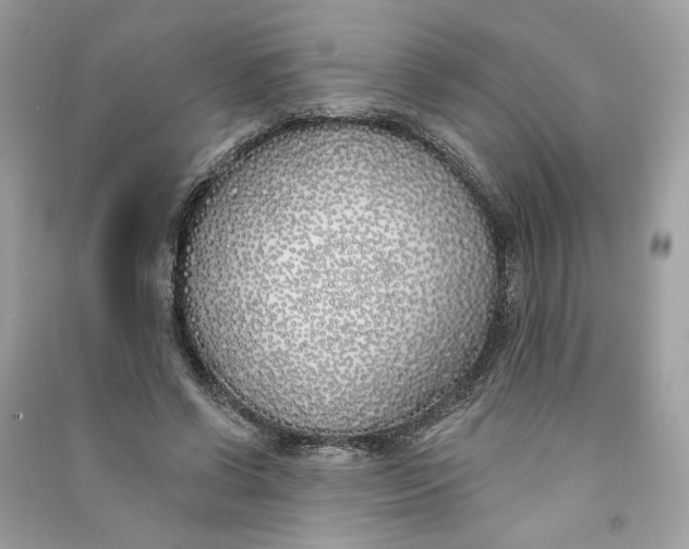 X0000090750542200708101727